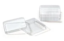 Cutii Petri pătrate cu grilă, PS, L 100 x l 100 x H 15 mm, vol. 110 ml