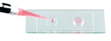 Filme de marcare pentru lame microscopice, 2 adâncituri, D 0,25 mm, 25 bucăți