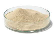 Agar Nutritiv (DEV), DEV, DIN 38 411, pentru microbiologie, 500 g, plastic