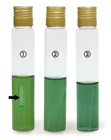 Bulion Bilă Verde Briliant, DIN 10172, ISO 4832, ISO 11133, 500 g, plastic