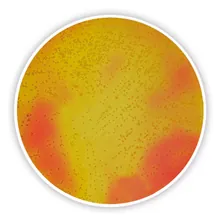 Agar manitol-sare, ISO 22718, pentru microbiologie, 500 g, plastic
