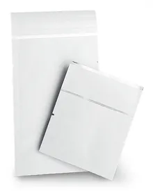 Plicuri FTA®, MINI, de la Whatman, pentru FTA®-cards MINI, MICRO, 100 unitate(unități)