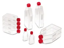 Flacoane pentru culturi celulare 550 ml, PS, sterile, 50 buc.