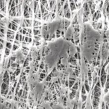 Filtre cu membrană PTFE cu structură de suport laminată, Ø 13mm, dimensiune pori 1.0µm
