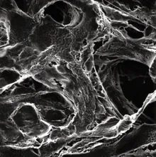 Filtre cu membrană PTFE fără structură de suport, Ø 13 mm, dimensiune pori 5.0 µm