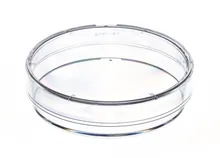 Cutii Petri, nesterile, cu camă de ventilație, Ø 35 mm, H 10 mm, 740 buc.
