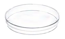 Cutii Petri, nesterile, cu camă de ventilație, Ø 145 mm, H 20 mm, 120 buc.