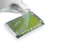 Folie ROTILABO®-sealing, plăci de microtestare, poliester, sterilă, grosime 50 µm