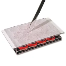 Folie ROTILABO®-cling pentru culturi celulare, raion, sterilă, grosime 114 µm