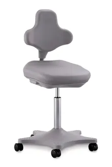 Scaun de laborator Labster 2, gri, role, înălțime șezut 450-650 mm, 1 bucată