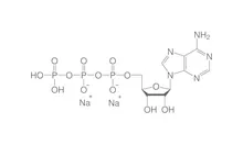 Sare disodică a adenozin-5'-trifosfatului, (ATP), min. 95 %, pentru biochimie, 10 g