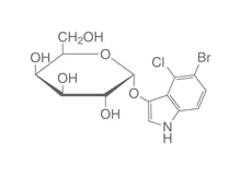 X-alfa-Gal, min. 98 %, pentru biochimie, 100 mg, sticlă