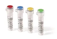 Soluție dATP, min. 99 %, soluție 100 mM, 250 µl, plastic