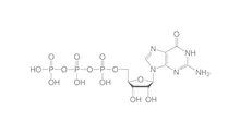 GTP, min. 90 %, liofilizat, 100 mg, plastic