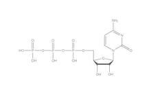 CTP, min. 98 %, liofilizat, 10 g, plastic