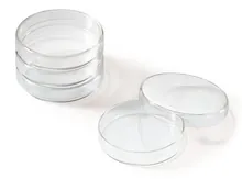 Vase Rotilabo®-petri, sticlă, două piese, Ø 60 x H 15 mm, 18 buc.