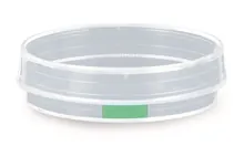Vase pentru culturi celulare în suspensie, sterile, PS, Ø 60 x H 15 mm, 500 bucăți