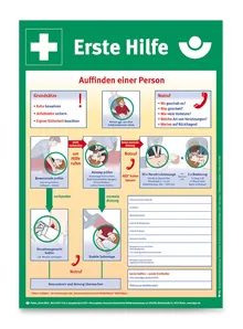 Prim ajutor, numai în germană, 1 buc.