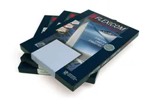 Etichete PET rezistente la substanțe chimice, L 105 x Î 148 mm, 30 coli