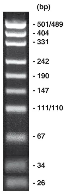 pUC19/Msp I, marker ADN + tampon de încărcare gel, 200 µg, plastic