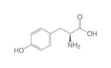 L-Tirozină, min. 99 %, Ph.Eur., pentru biochimie, 500 g, plastic