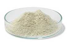 Albumină de ser bovin (BSA) Fracția V,, fără protează, min. 97 %, 500 g, plastic
