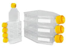 Flacoane pentru culturi celulare, PS, sterile, L 90 x W 50 x H 25 mm, 60 ml, 360 bucăți