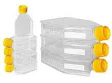 Flacoane pentru culturi celulare, PS, sterile, L 150 x W 85 x H 35 mm, 270 ml, 100 bucăți