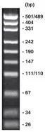Marker pUC19, marker ADN, gata de utilizare, 500 µl, plastic