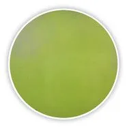 Agar Cetrimid (Bază), ISO 22717, pentru microbiologie, 500 g, plastic