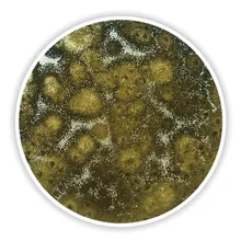 Agar cu extract de cartofi și glucoză, pentru microbiologie, 1 kg, plastic