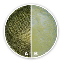 Agar Sabouraud 4 % glucoză, ISO 11133, ,ISO 16212, 1 kg, plastic