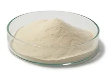Agar LB (Luria/Miller), pentru biologie moleculară, 1 kg, plastic