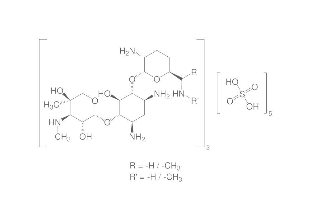 Gentamycin sulphate solution, 50 mg/ml, BioScience-Grade, sterile, 20 ml