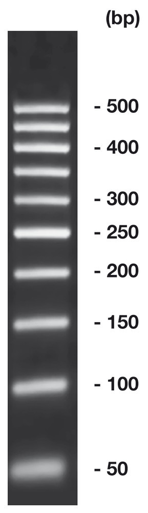 50 bp-DNA-Ladder,, ready-to-use, not pre-dyed, 500 µl, plastic