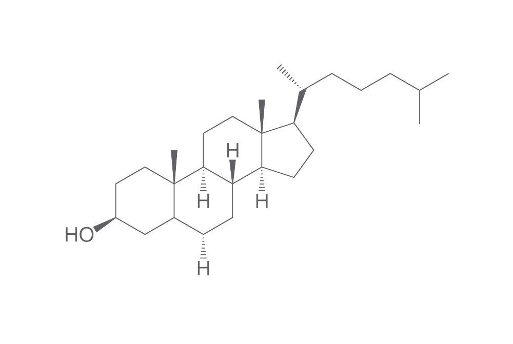 5-alpha-Cholestan-3beta-ol, min. 95 %, 1 g, glass — Carl Roth, cod 3400.2