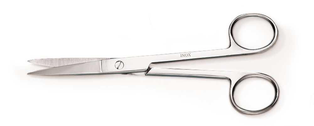 Scissors, pointed-pointed, stainless steel, length 140 mm, 1 unit(s)
