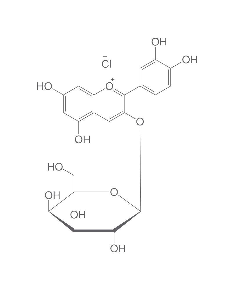 Idaein chloride, ROTICHROM® HPLC, 5 mg, glass