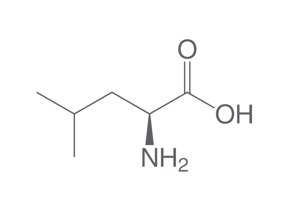 L-Leucine, min. 98.5 %, Ph.Eur., for biochemistry, 1 kg, plastic