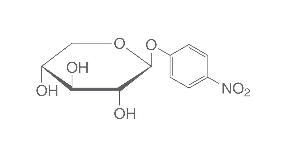 4-Nitrophenyl-beta-D-xyloside, min. 99 %, for biochemistry, 1 g, glass