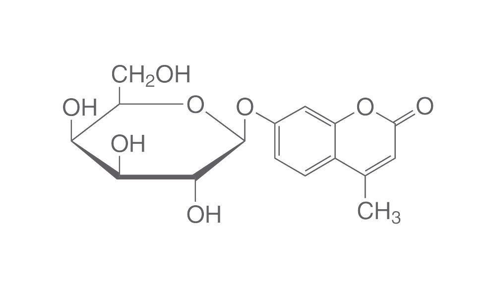 4-Methylumbelliferyl-beta-D-, galactopyranoside, for biochemistry, 5 g, glass