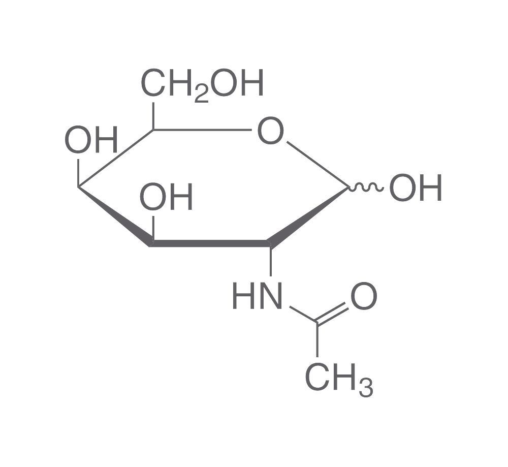 N-Acetyl-D-galactosamine, min. 99 %, for biochemistry, 1 g, glass