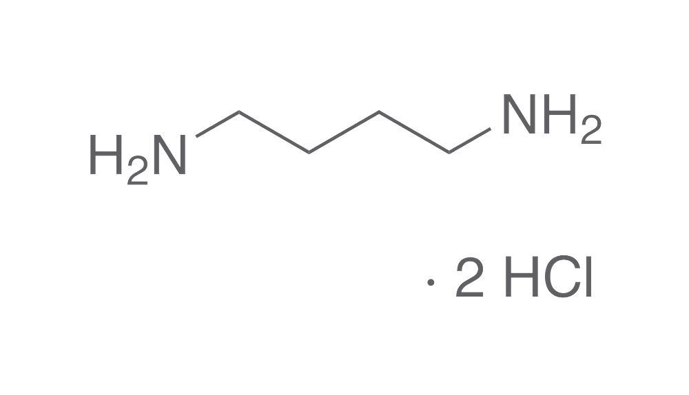 Putrescin dihydrochloride, min. 97 %, for biochemistry, 10 g, glass