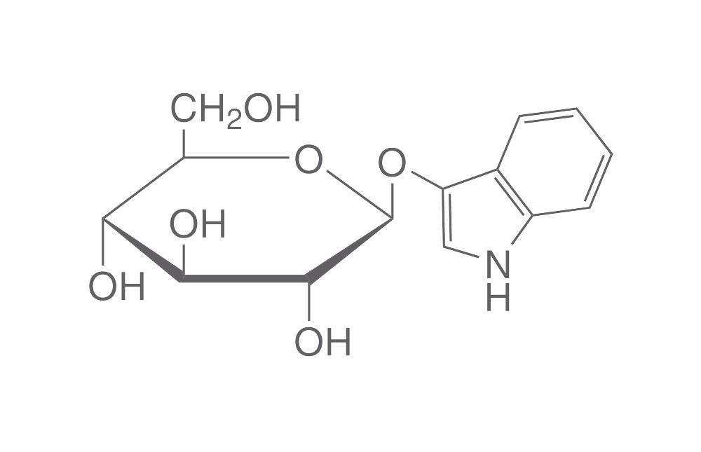 3-Indoxyl-beta-D-glucopyranoside, min. 99 %, for biochemistry, 250 mg, glass