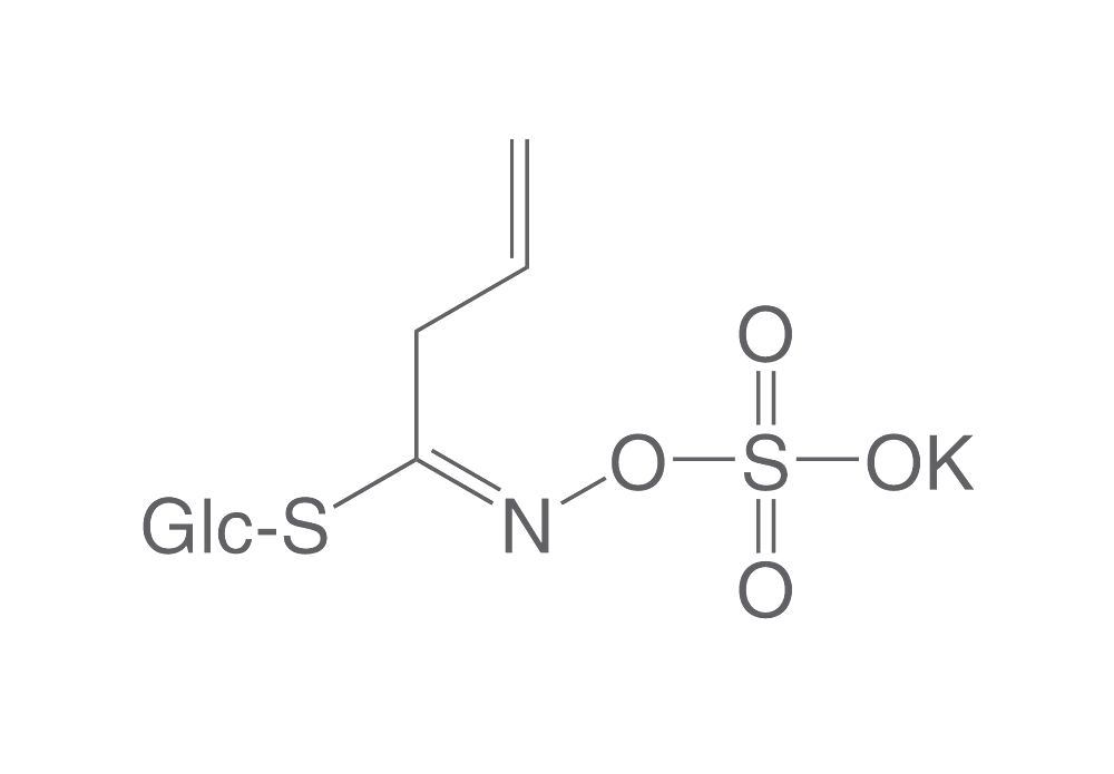 Sinigrin monohydrate, ROTICHROM® HPLC, 50 mg, glass
