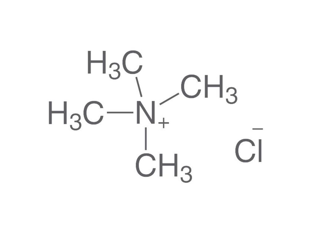 Tetramethylammonium chloride, min. 98 %, for synthesis, 100 g, plastic