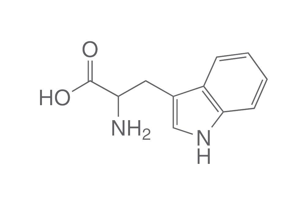 L-Tryptophane, min. 98,5 %, Ph.Eur., for biochemistry, 1 kg, plastic