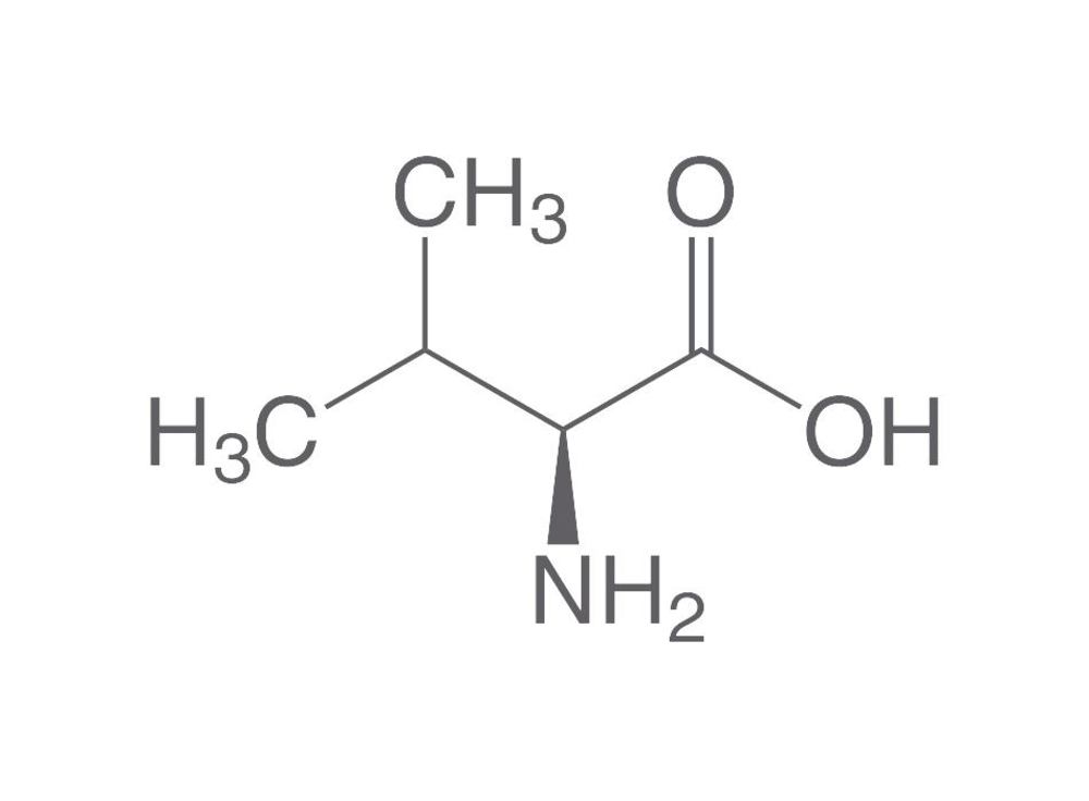 L-Valine, min. 98.5 %, USP, for biochemistry, 100 g, plastic