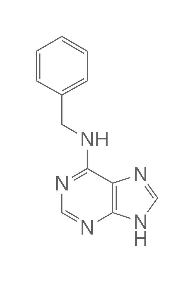 6-Benzylaminopurine, min. 98 %, for biochemistry, 1 g, glass