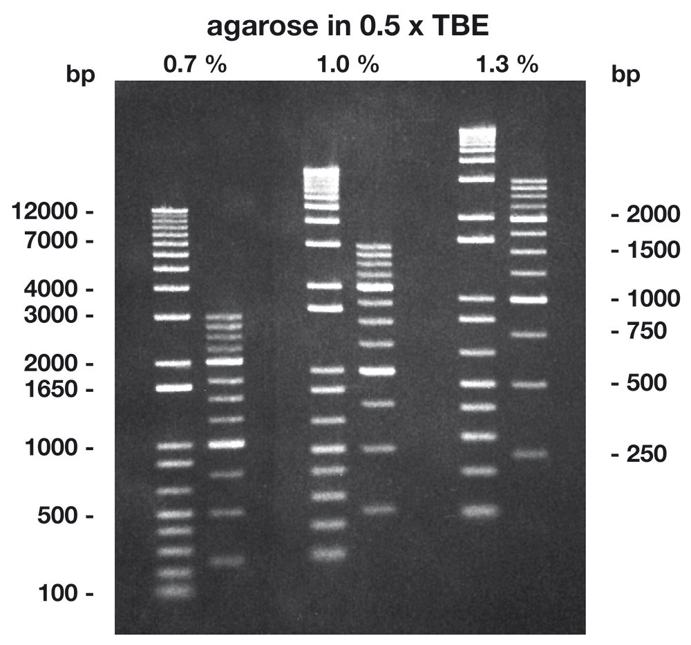 Agarose Low Melt ROTI®Garose, with low melting and, 500 g, plastic